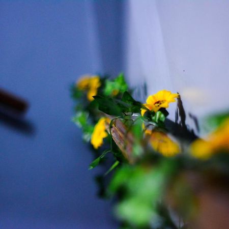 サンパウロ O Viajante Av Paulistaホステル エクステリア 写真